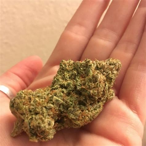 Truffle butter leafly - White Truffle strain helps with. Anxiety. 19% of people say it helps with Anxiety. Stress. 10% of people say it helps with Stress. Pain. 7% of people say it helps with Pain. This info is sourced ... 